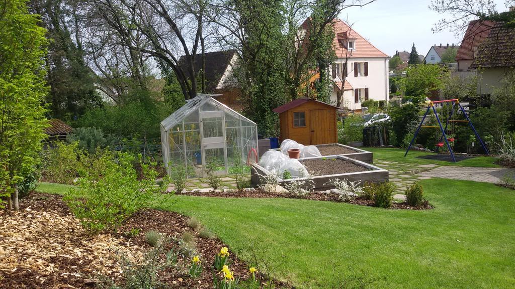 Gite Des Merles Mittelwihr Exteriör bild